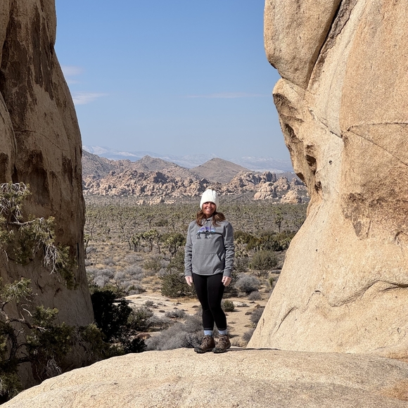 Meet your Posher, Gypsy & Grace - Picture 4 of 7